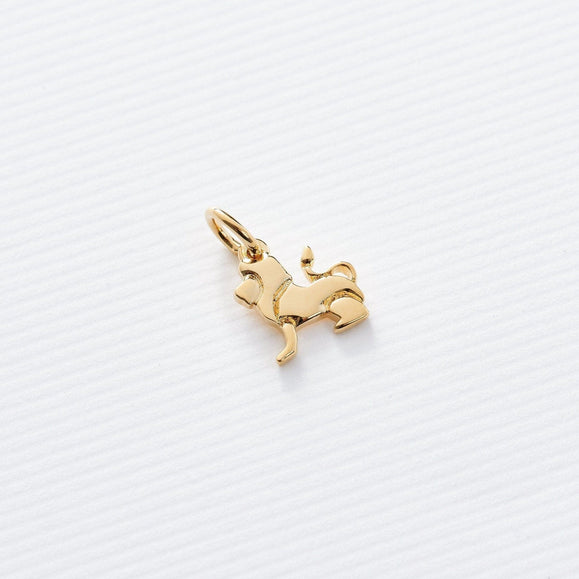 Astrology Charms - Capsul
