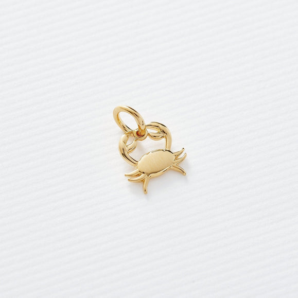 Astrology Charms - Capsul
