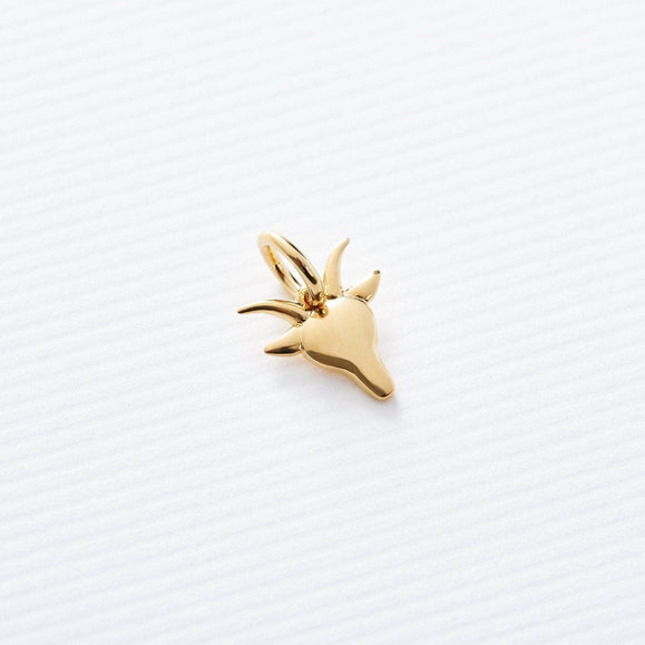 Astrology Charms - Capsul