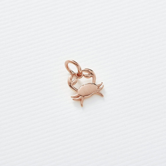 Astrology Charms - Capsul