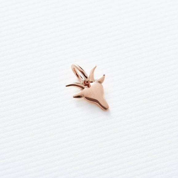 Astrology Charms - Capsul