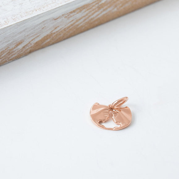 Astrology Charms - Capsul