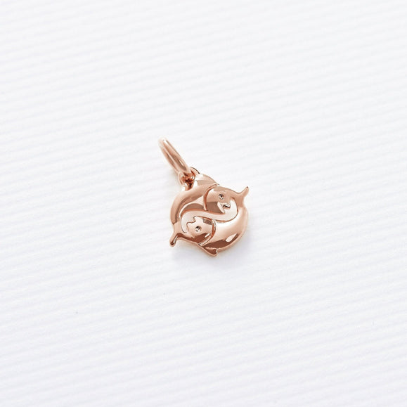 Astrology Charms - Capsul