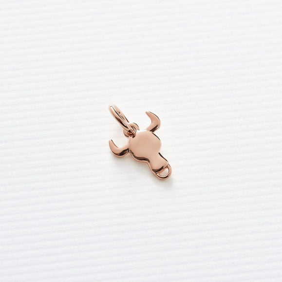 Astrology Charms - Capsul