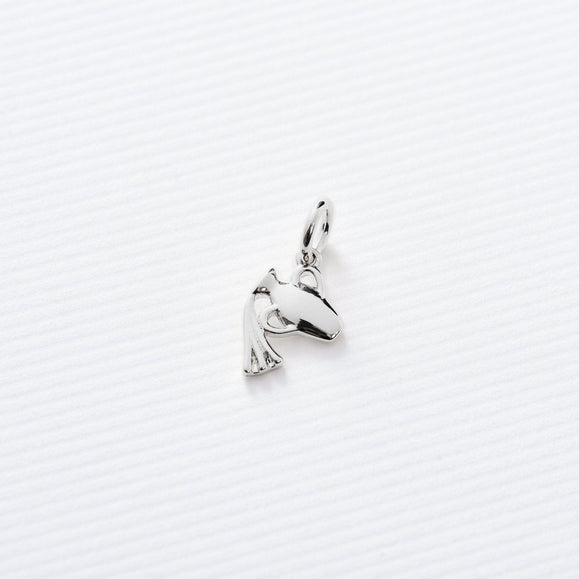 Astrology Charms - Capsul
