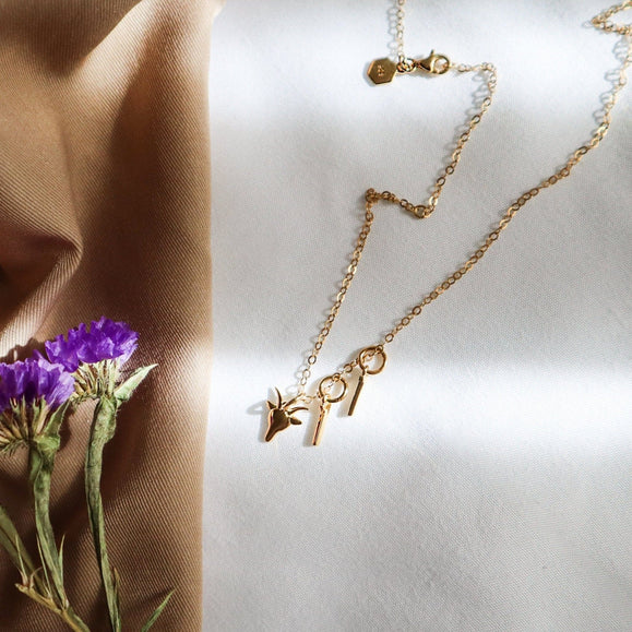 Sterling Silver Zodiac Charm Necklace - Capsul
