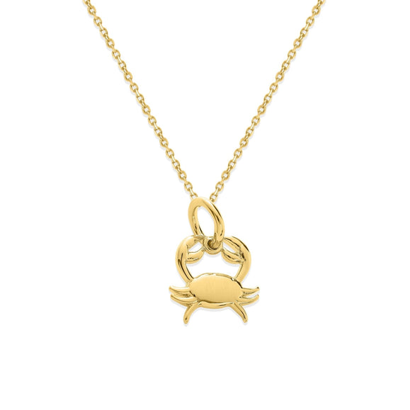 Sterling Silver Zodiac Charm Necklace - Capsul