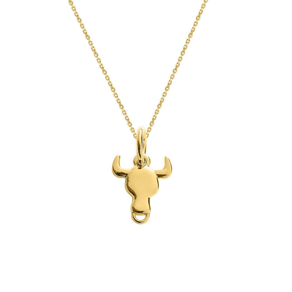 Sterling Silver Zodiac Charm Necklace - Capsul
