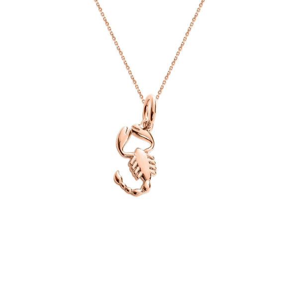 Sterling Silver Zodiac Charm Necklace - Capsul
