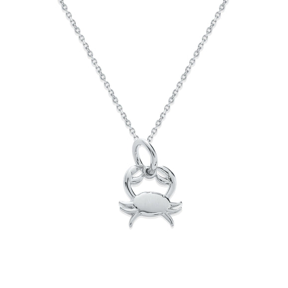 Sterling Silver Zodiac Charm Necklace - Capsul
