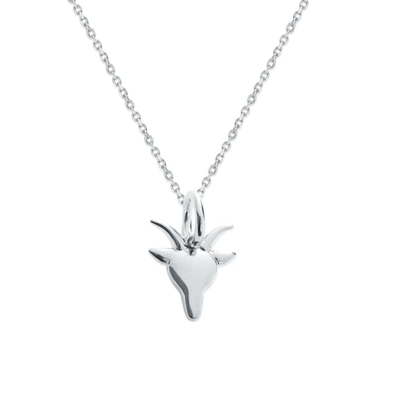 Sterling Silver Zodiac Charm Necklace - Capsul